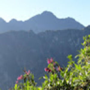 Meet your Posher, Kara